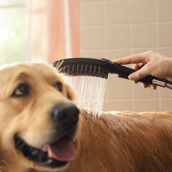 hansgrohe-頂級寵物洗澡蓮蓬頭(狗狗專用)-Dog Shower，26640