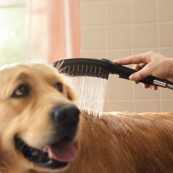 (限量5折出清)hansgrohe-頂級寵物洗澡蓮蓬頭(狗狗專用)-Dog Shower，26640